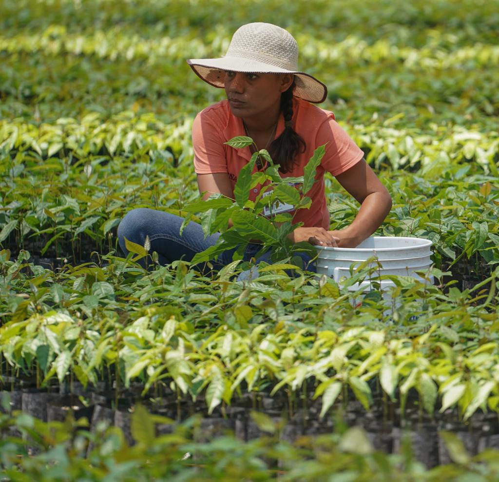 Prejuicios han impedido el desarrollo equitativo de las mujeres en el ámbito forestal