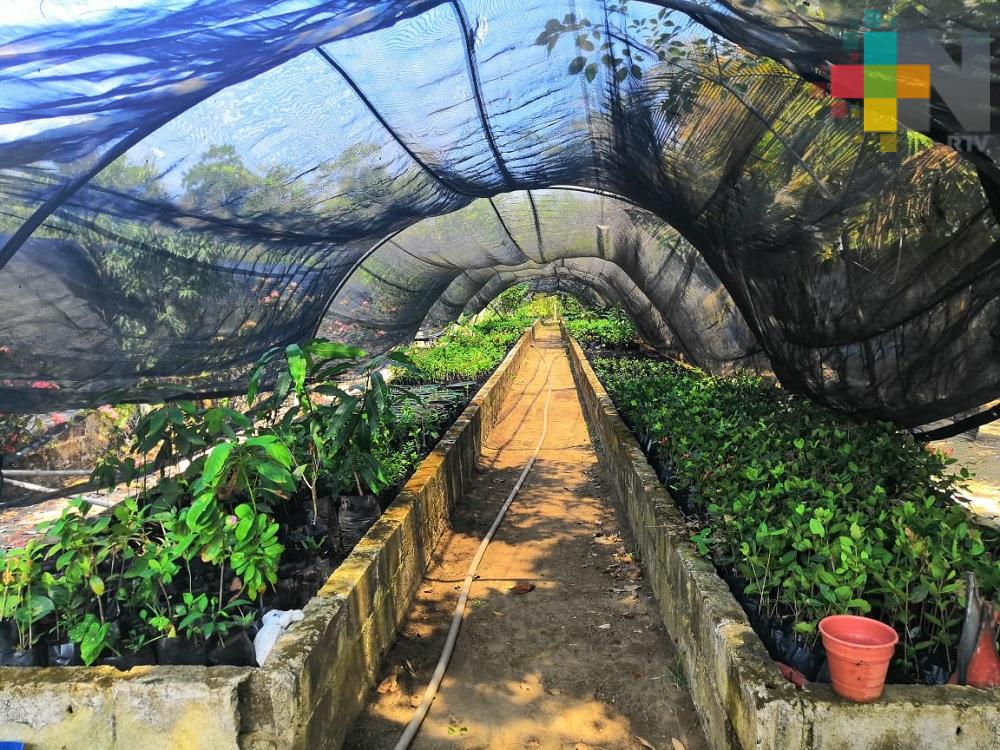 SEDEMA ha destinado más de 15 mdp a proyectos ambientales y para el desarrollo comunitario