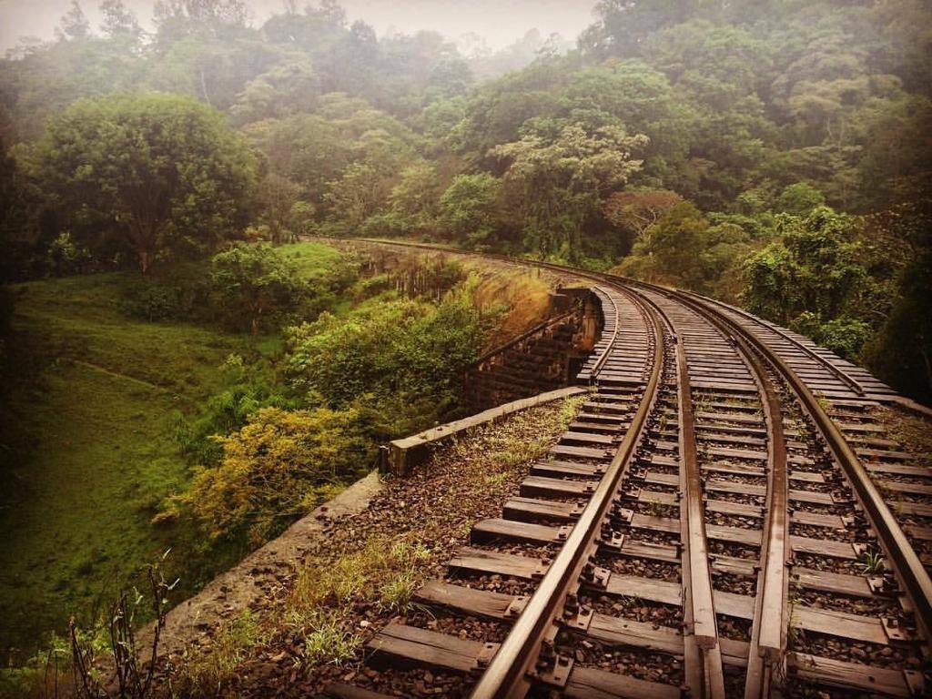 Veracruz apoyará en todo el regreso de El Jarocho: Rocío Nahle