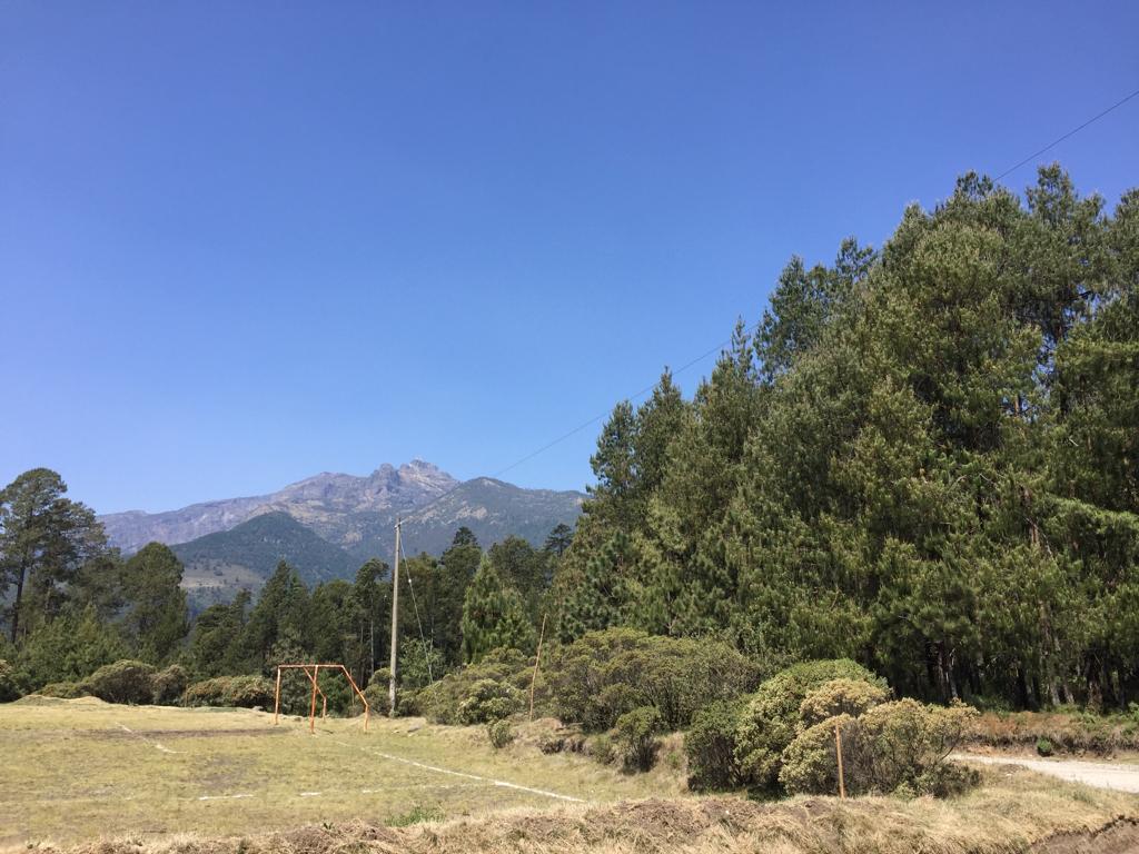 Camino a Tembladeras, Xico