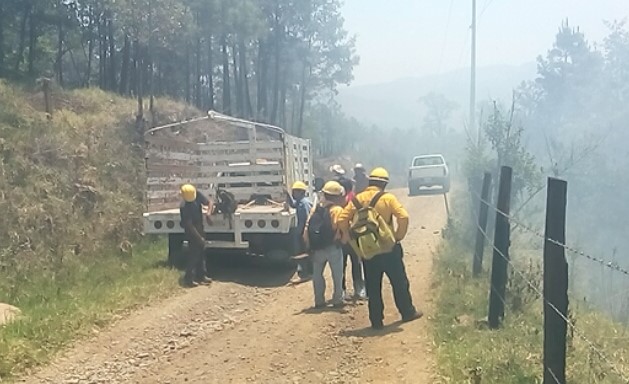 Incendio forestal afecta más de una hectárea de comunidad de Huayacocotla