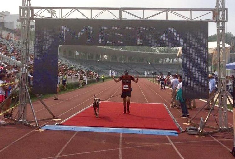 Perro corrió completo el Maratón de Xalapa 2019