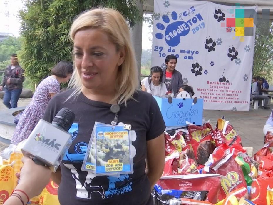 Realizan Croquetón en la Facultad de Ciencias Administrativas y Sociales de la UV