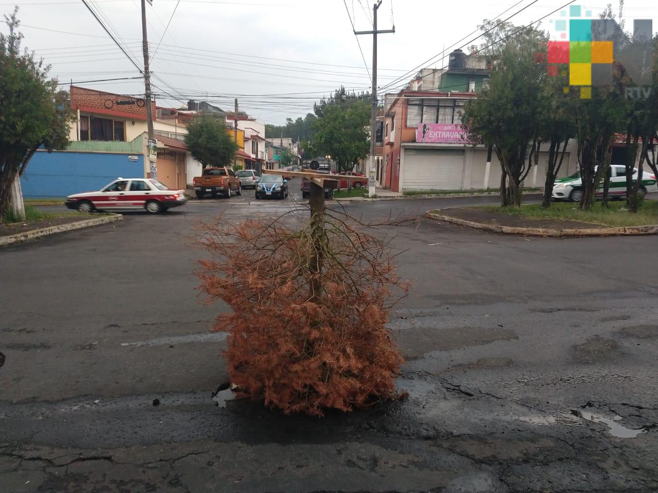 Reportan alcantarilla destapada en colonia Obrera Campesina