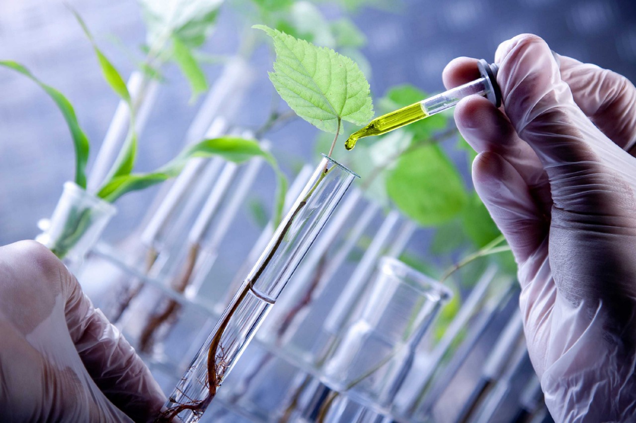 En Veracruz y en México solo 20% de los productores del campo utilizan los análisis de suelo