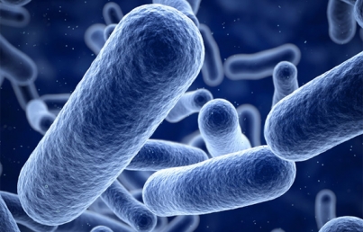 Suman 11 hospitales con presencia de bacteria oportunista en Jalisco