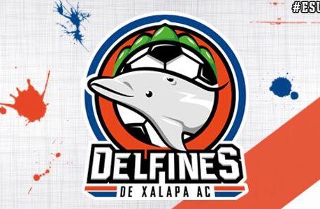 Delfines de Xalapa crea escuela filial en Misantla