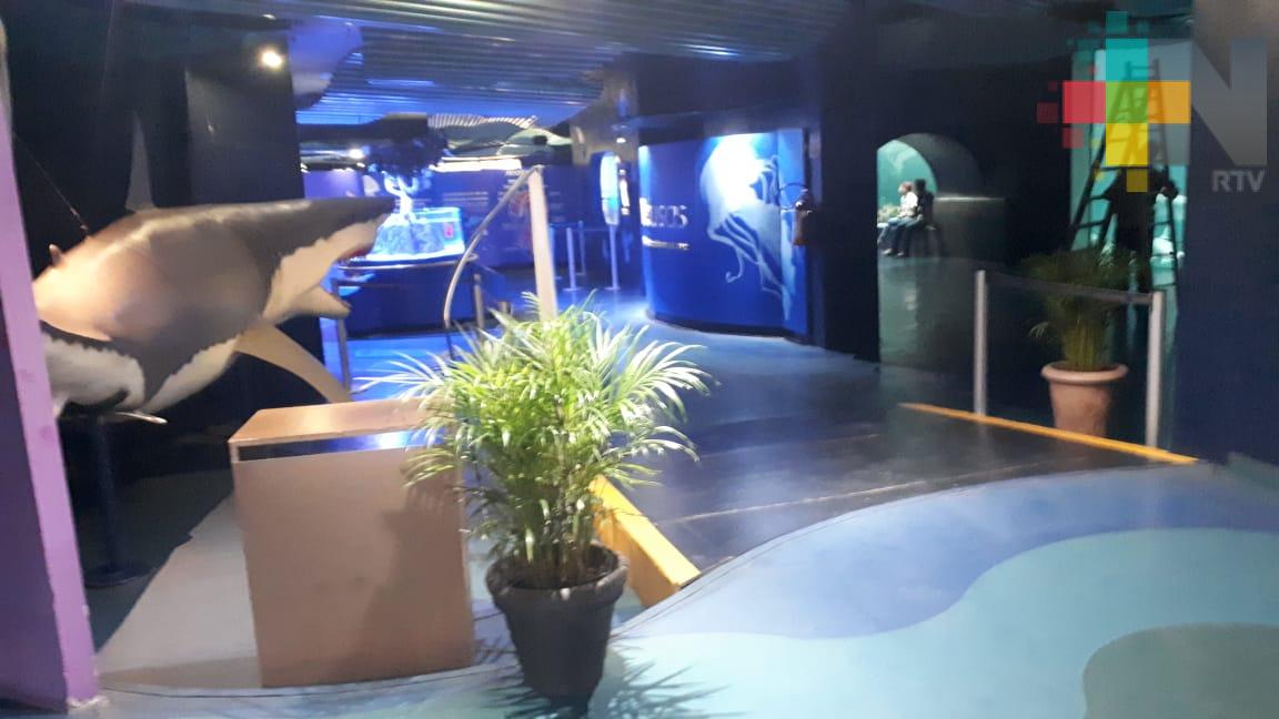 Acuario de Veracruz inicia inscripciones para su próximo curso de verano