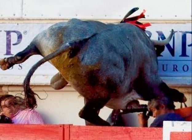 Toro embiste a fotógrafo en Aguascalientes