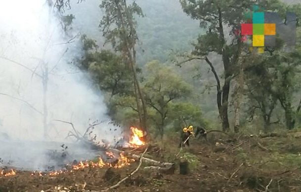 Gobernador de Veracruz presentó estrategia para prevenir incendios forestales
