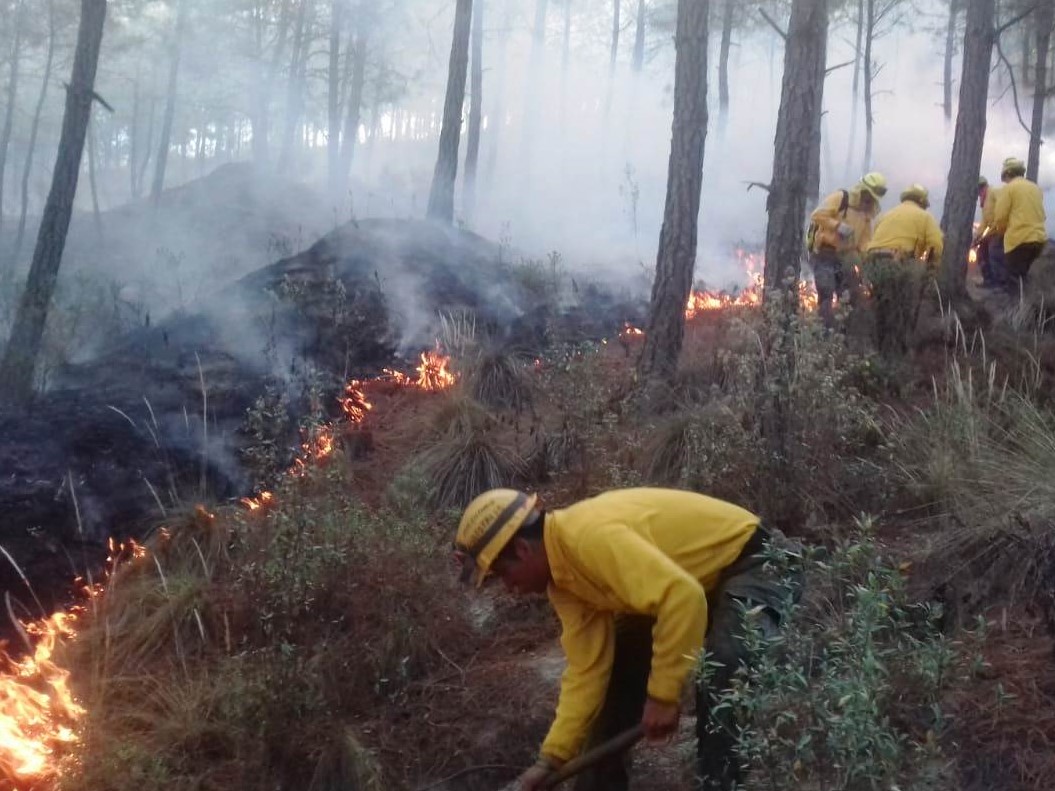 Combatientes de incendios forestales piden quedarse en casa