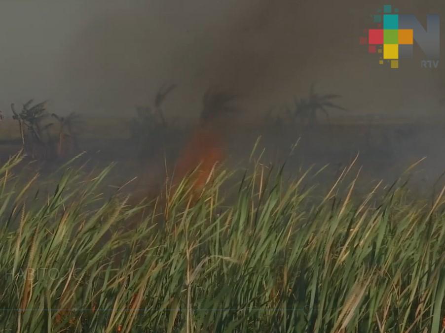 Veracruz necesita un programa de contingencia ambiental