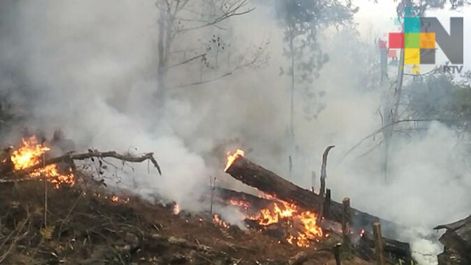 Afectadas 20 hectáreas por incendios forestales en Huayacocotla