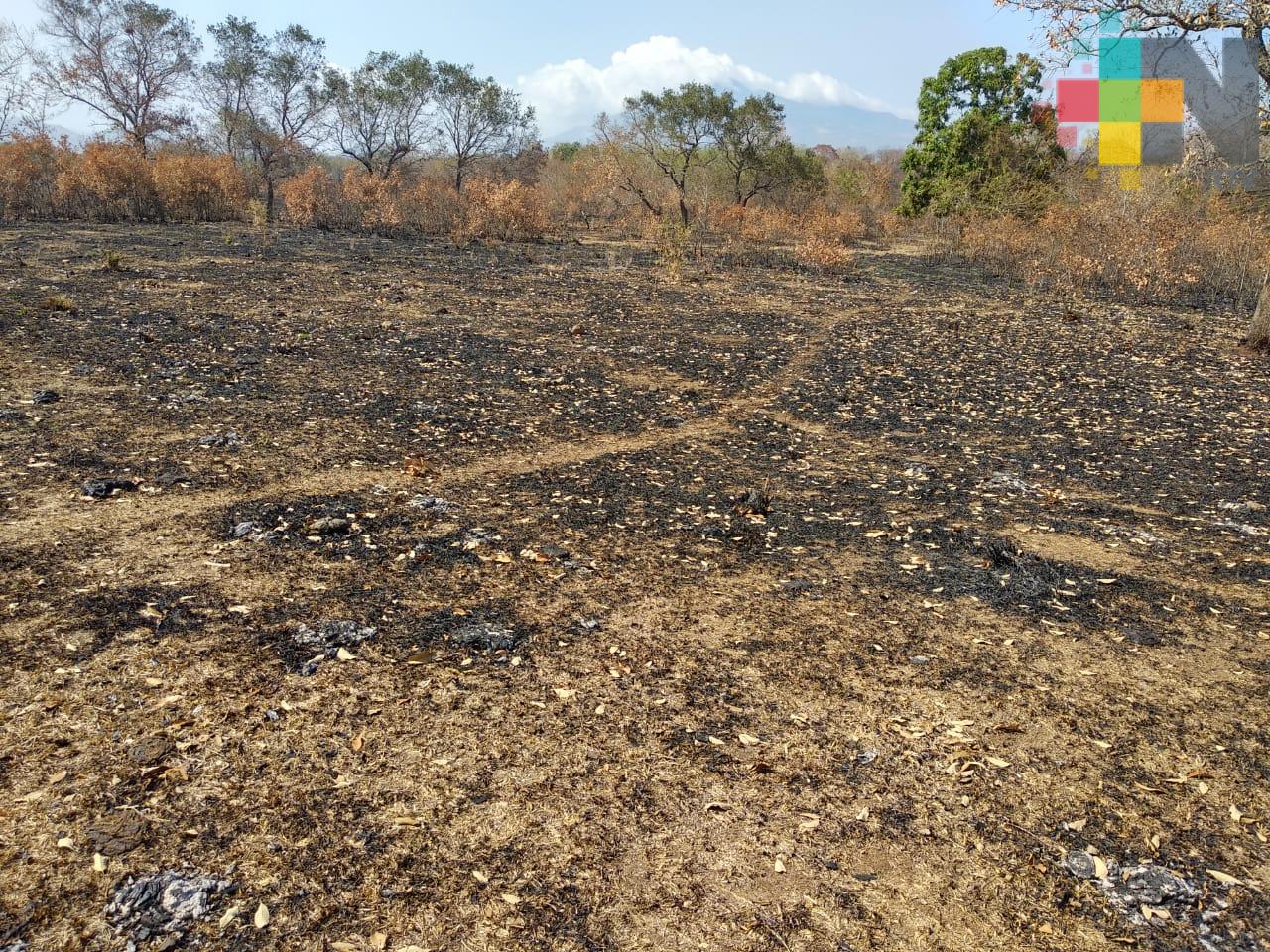 Guardarrayas mal realizadas y la quema de basura causantes de incendios en el sur