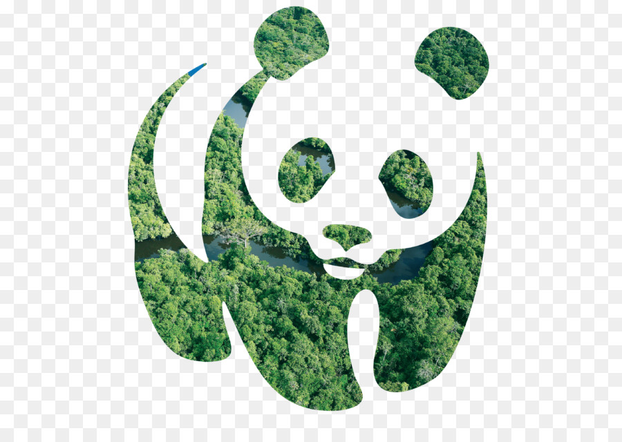 En peligro de extinción un millón de especies animales y vegetales: WWF