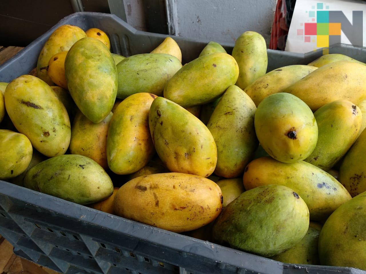 En Actopan, reportan comerciantes bajas ventas de mango