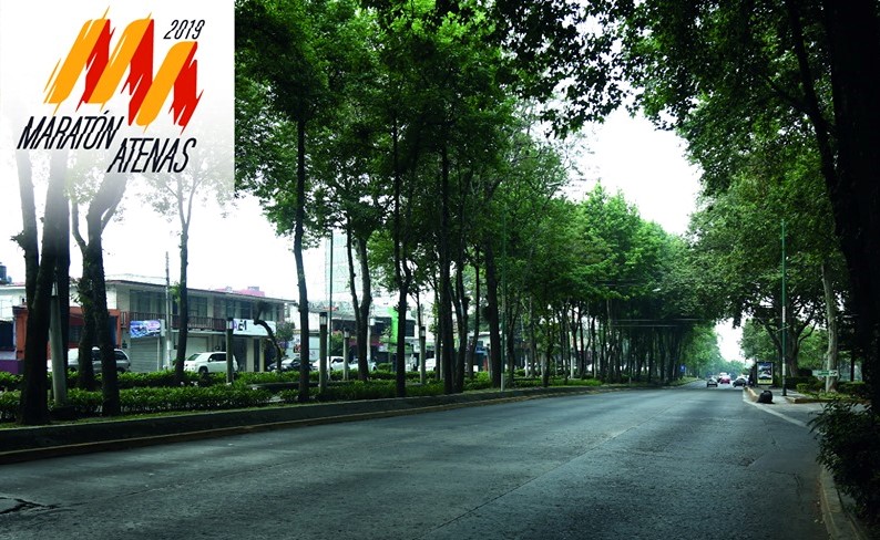 Cerrarán avenidas y calles con motivo del Maratón Atenas Veracruzana