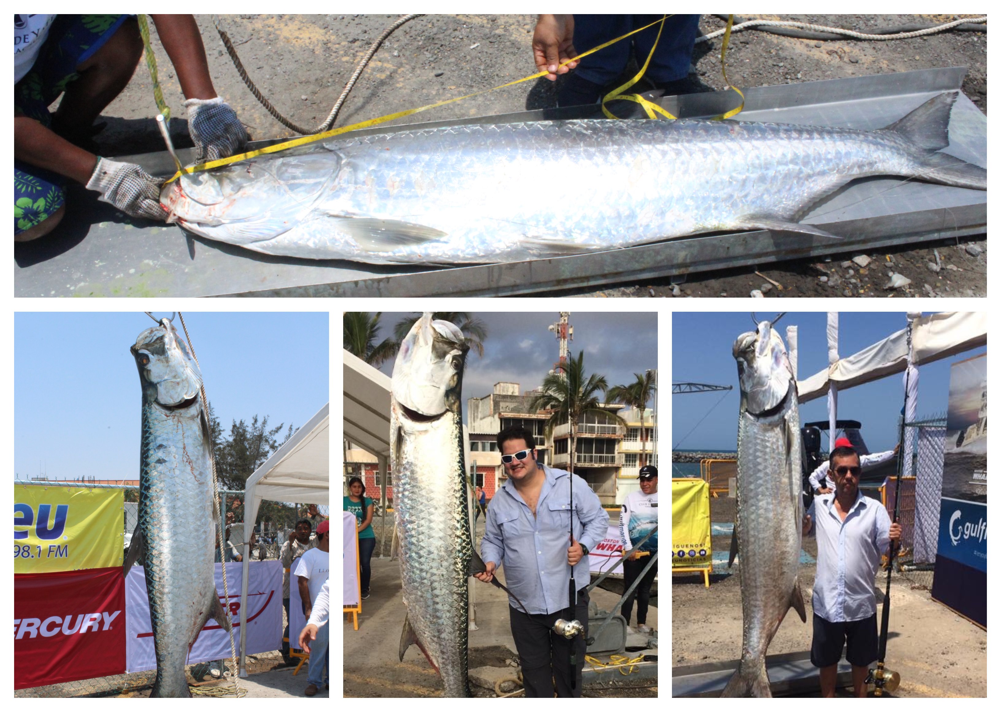 Javier Domínguez bicampeón del Torneo Internacional del Sábalo de Plata