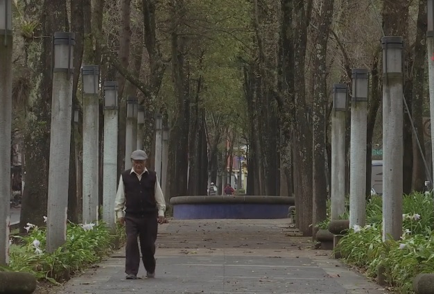 Reforestarán camellones en Xalapa por Día Mundial del Medio Ambiente