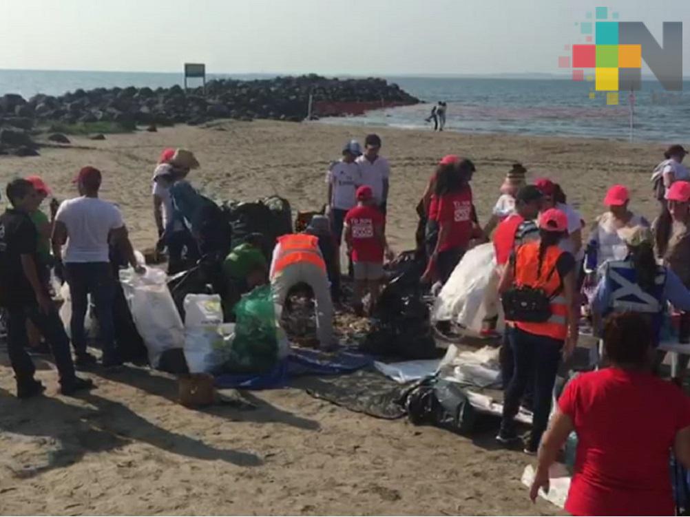 Asociación civil Sea and Reef limpia playas de Veracruz, Boca del Río y Alvarado