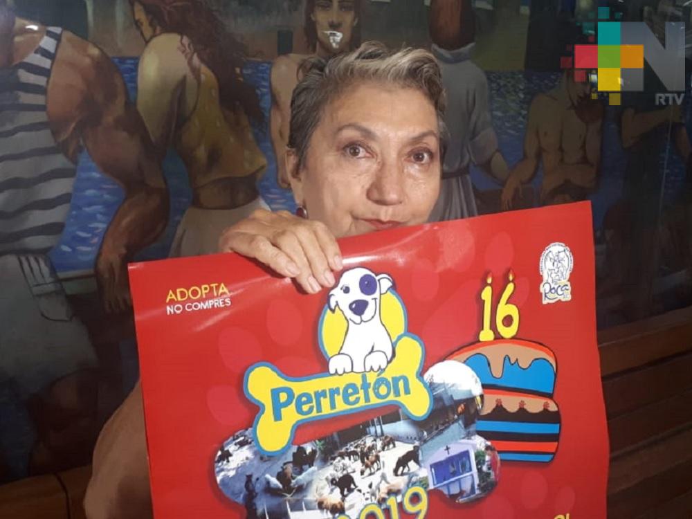 Asociación protectora de animales La Roca festejará aniversario en zócalo de Veracruz