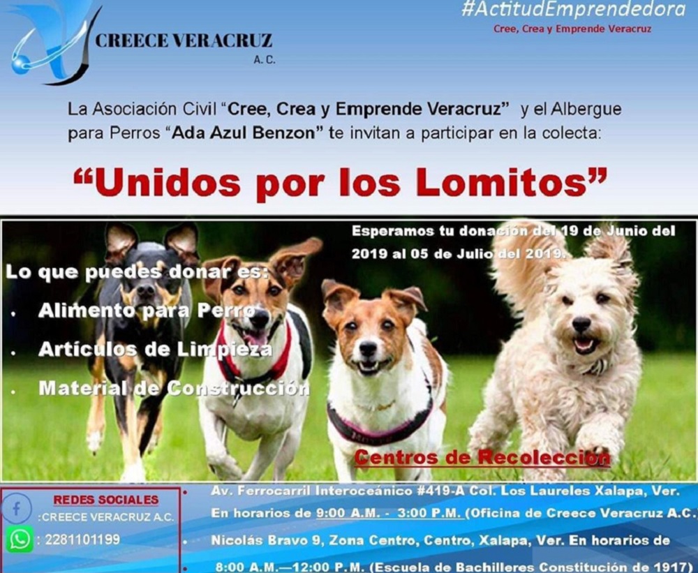 Asociación invita a donar alimento para perro y artículos de limpieza para el albergue Ada Azul
