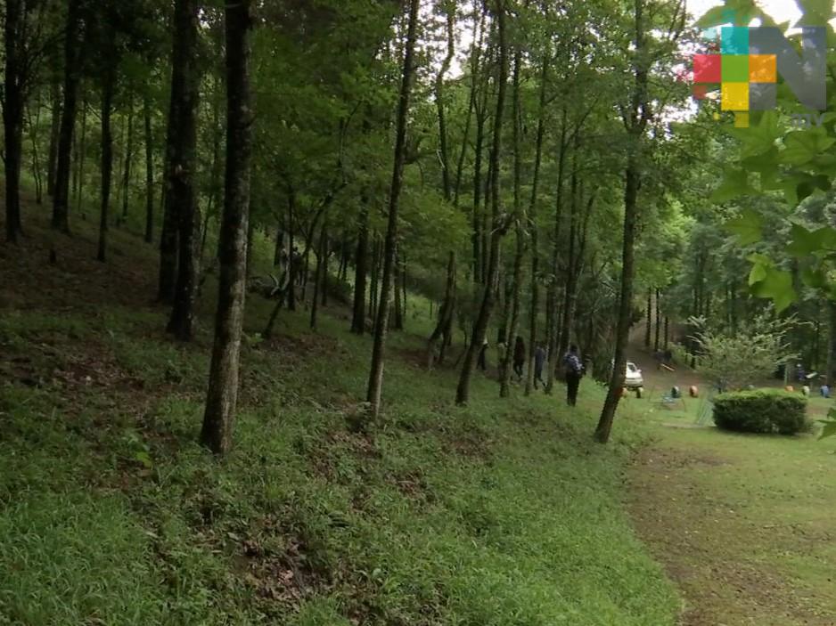 Por la vía legal se evitará que el Cerro de la Galaxia siga siendo invadido