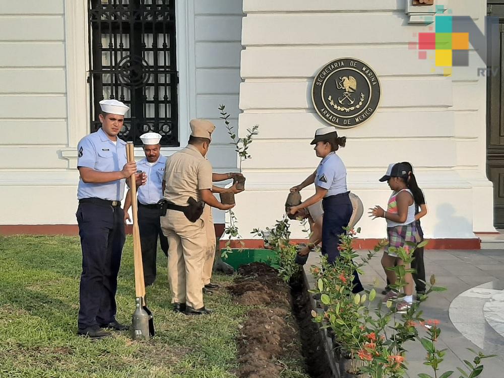 Ciudadanos y Semar inician reforestación en el Faro Venustiano Carranza