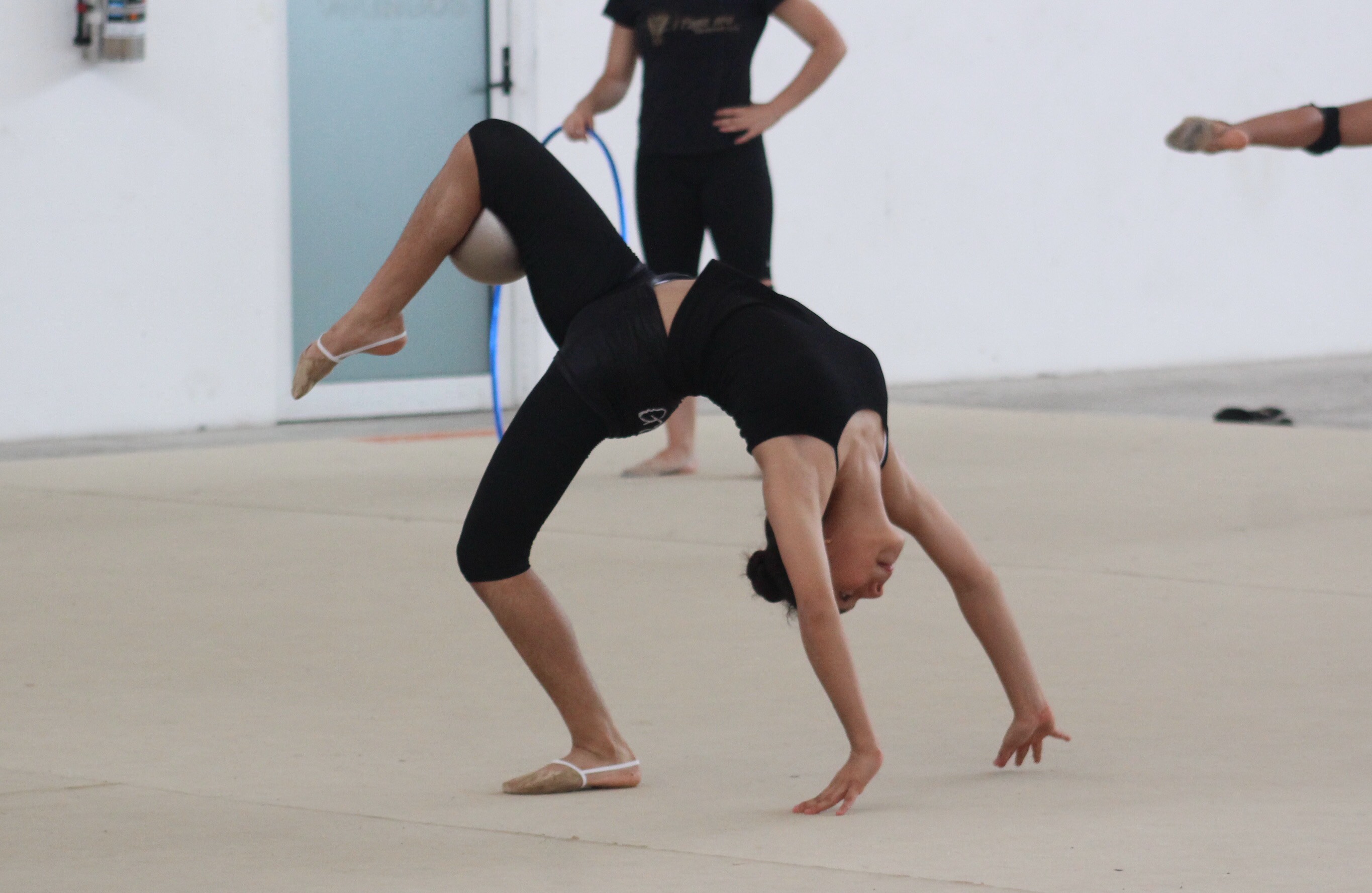 Invita Club de Oro al Curso de Verano 2019