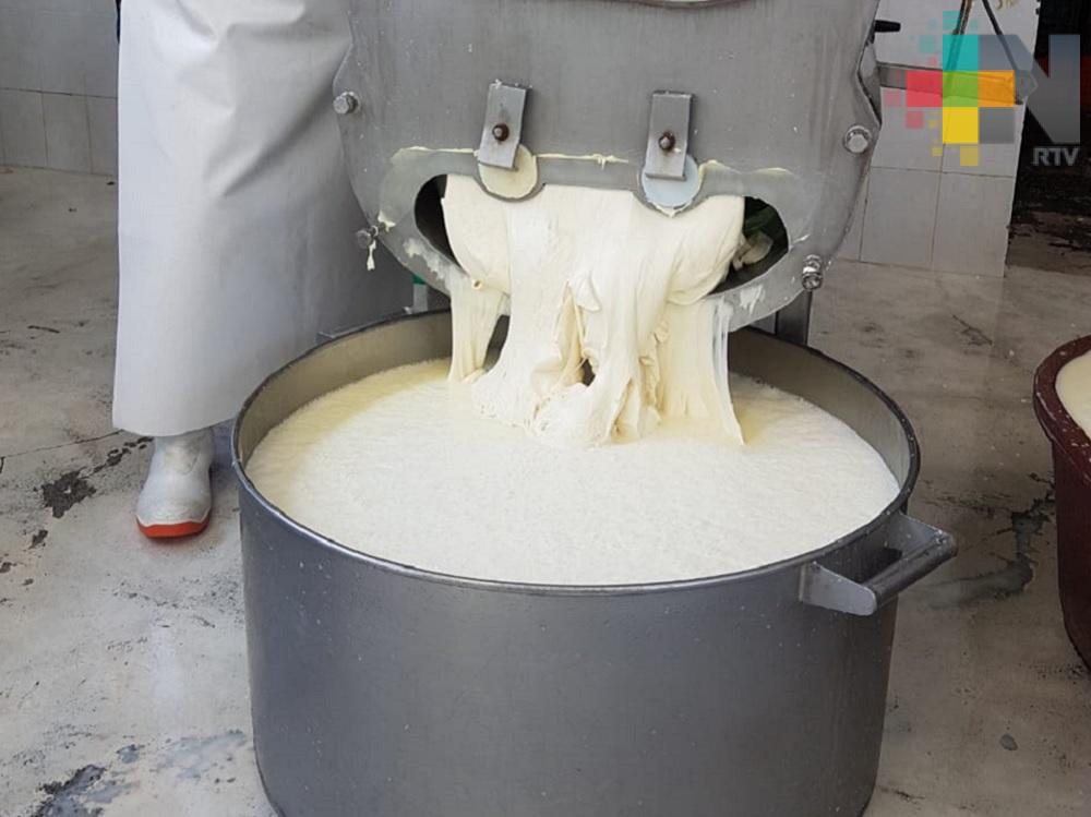 En Vega de Alatorre elaborarán el queso más grande del mundo