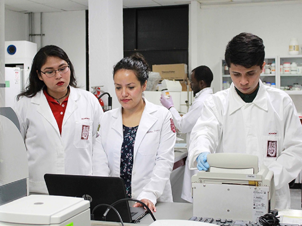 Estudia IPN ADN de insectos transmisores de enfermedades