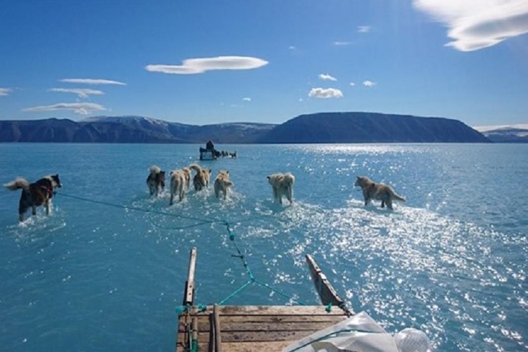 Foto de deshielo en Groenlandia ilustra efectos de cambio climático