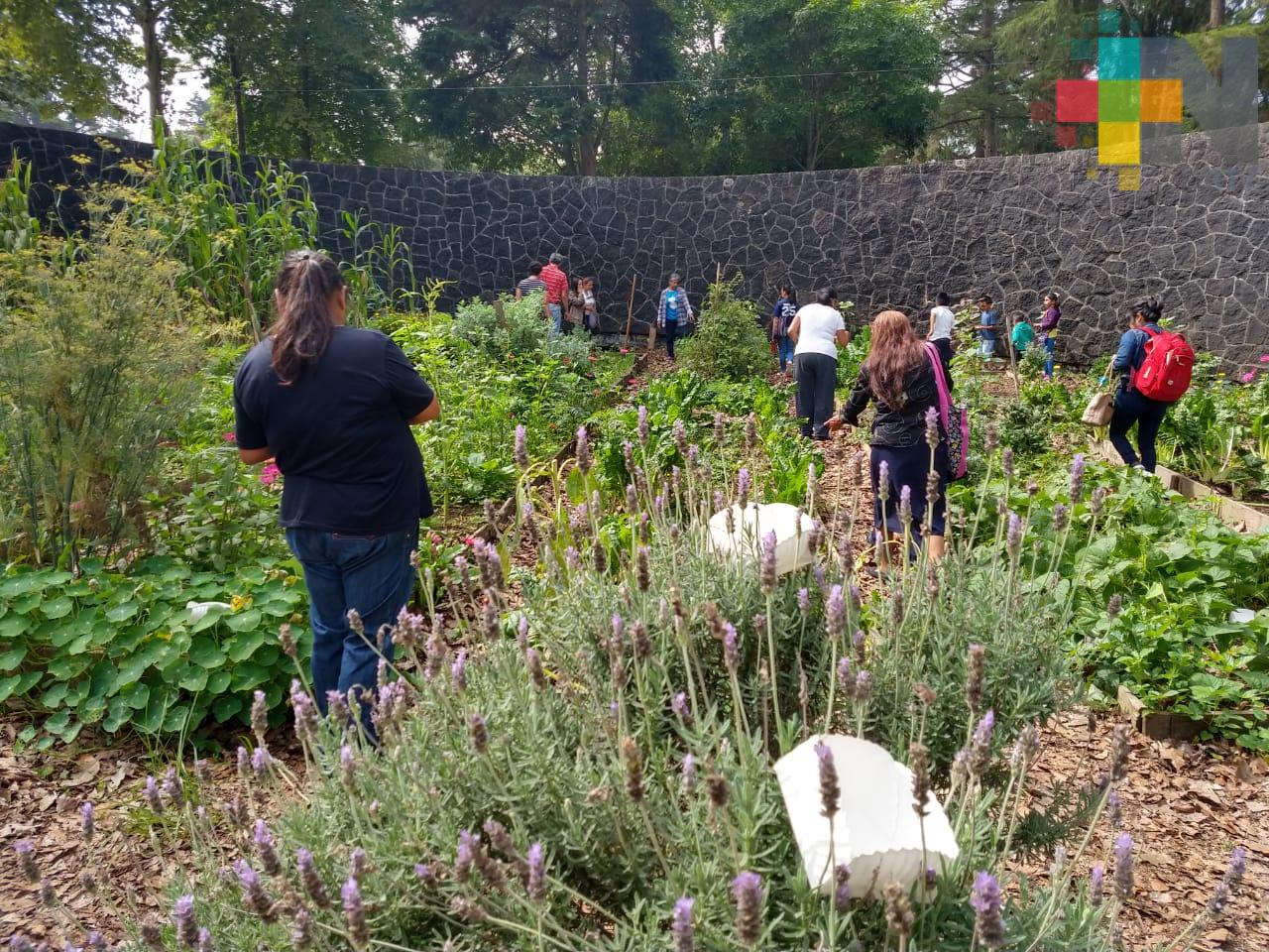 Realizan Cuarto Festival de la Cosecha en BENV