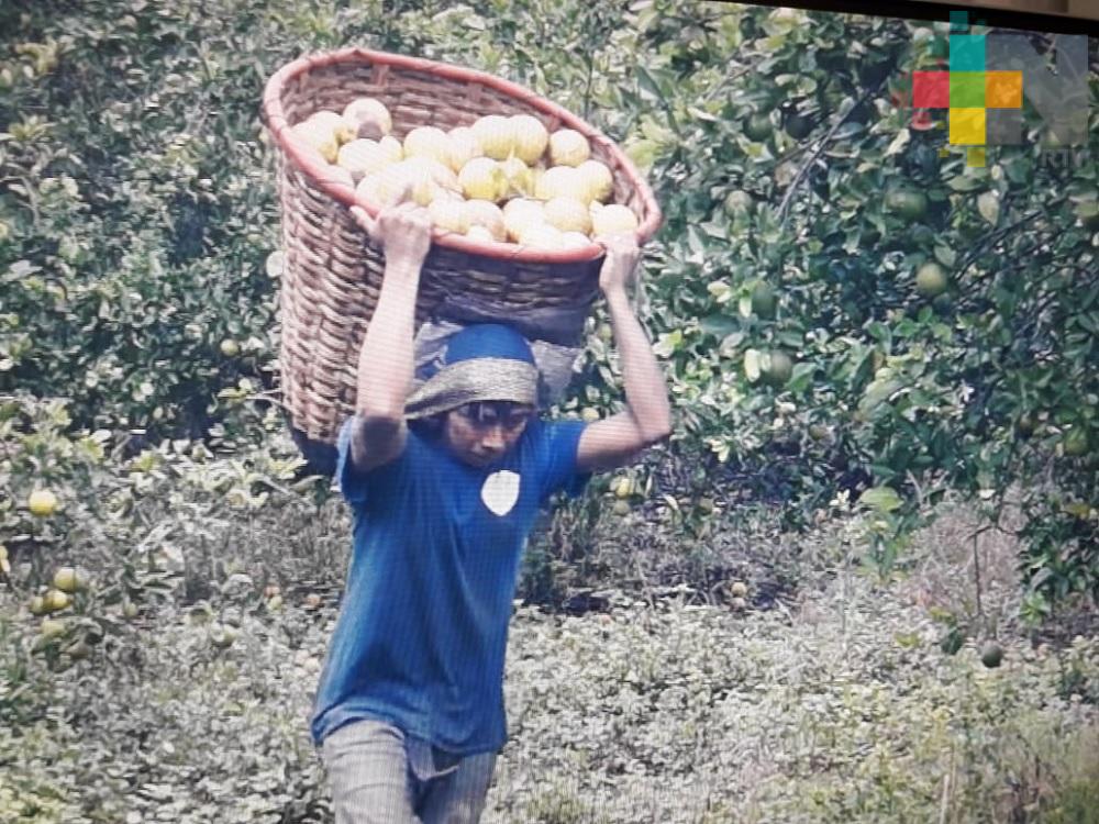 Sedarpa exhorta a productores del campo a no dejar de trabajar para impedir desabasto de alimentos