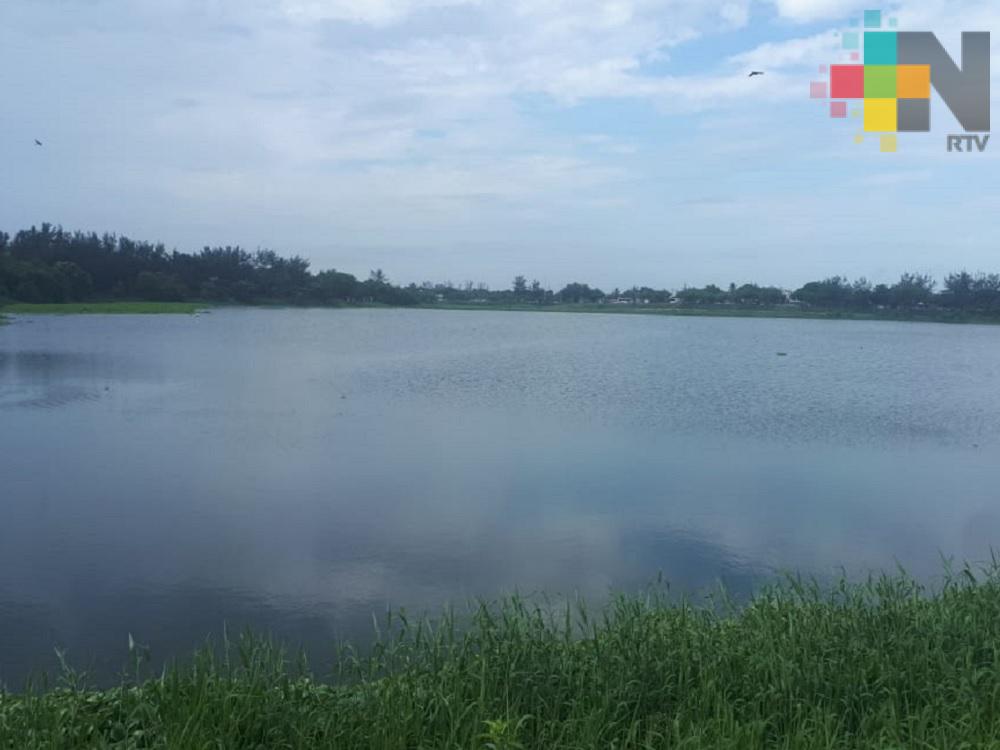 Por lluvias, lagunas del municipio de Veracruz empiezan a subir de nivel