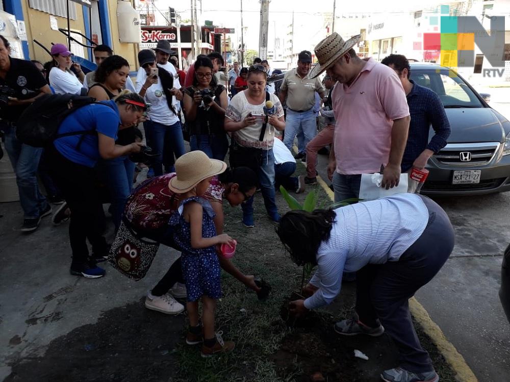 Periodistas y ciudadanos siembran árboles en el parque Independencia de Coatzacoalcos
