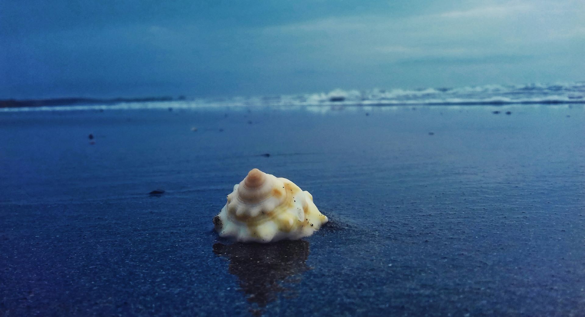 Playa de Chachalacas, Úrsulo Galván