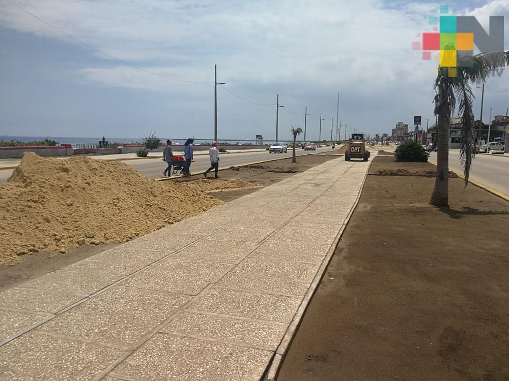 Reforestarán con palmeras y pasto zona del malecón de Coatzacoalcos