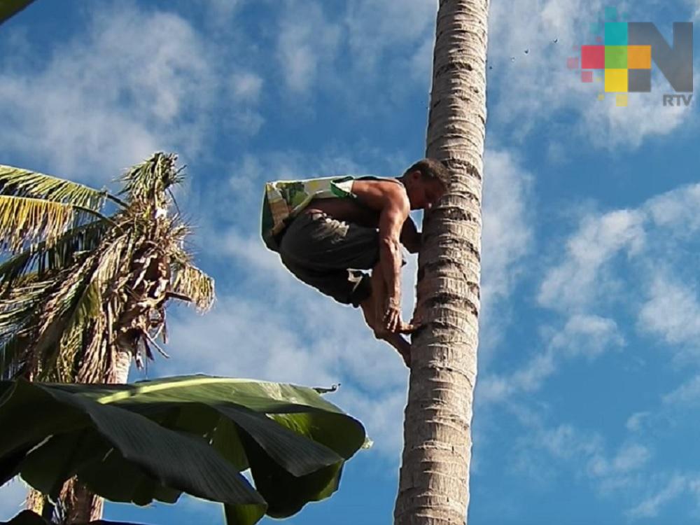 Ejido Colorado realizará concurso «Trépate al coco»