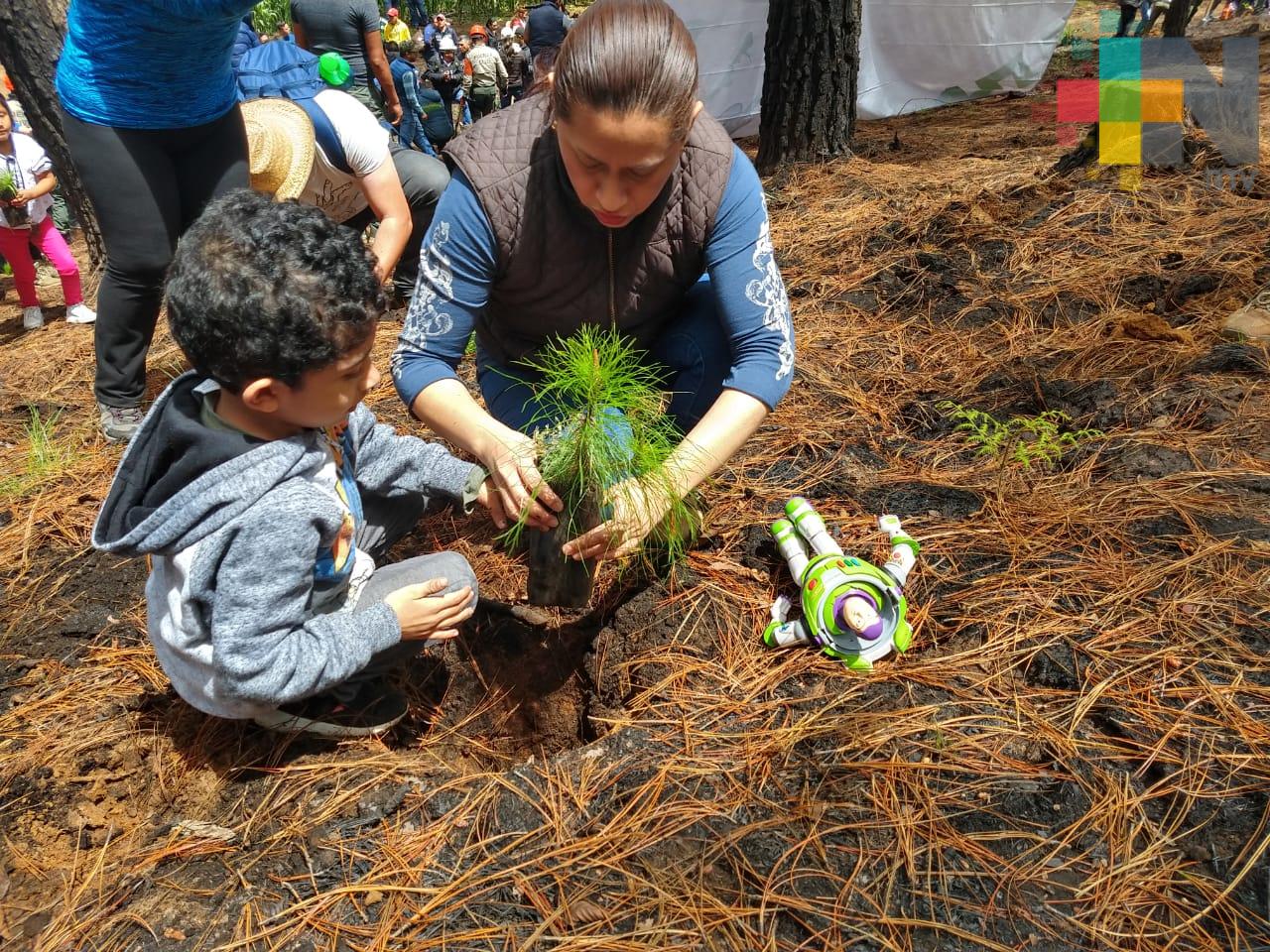 Familias contribuyen a reforestar Reserva de San Juan del Monte