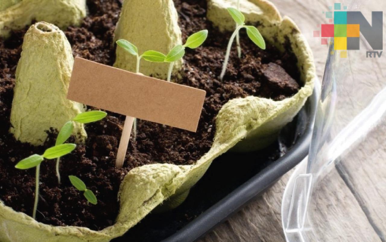 Ofrece Jardín de las Esculturas diversos talleres en el mes de julio