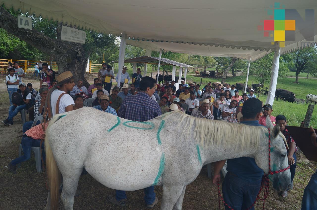 Celebran Día del Ganadero con jornada de enseñanza aprendizaje