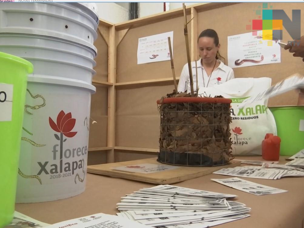 Ayuntamiento de Xalapa realiza Feria Ambiental