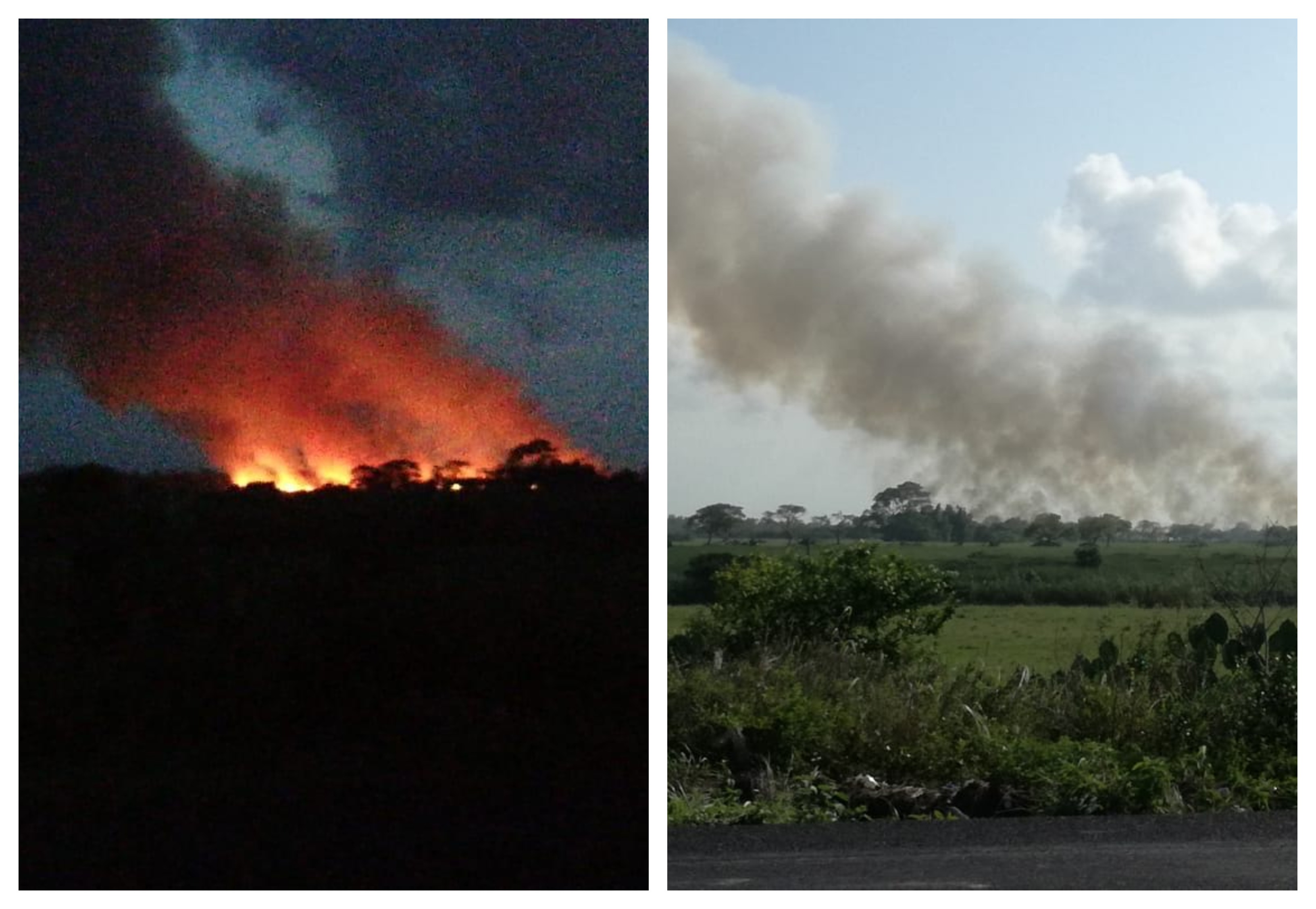 Reportan liquidado incendio forestal en Tecolutla, Veracruz