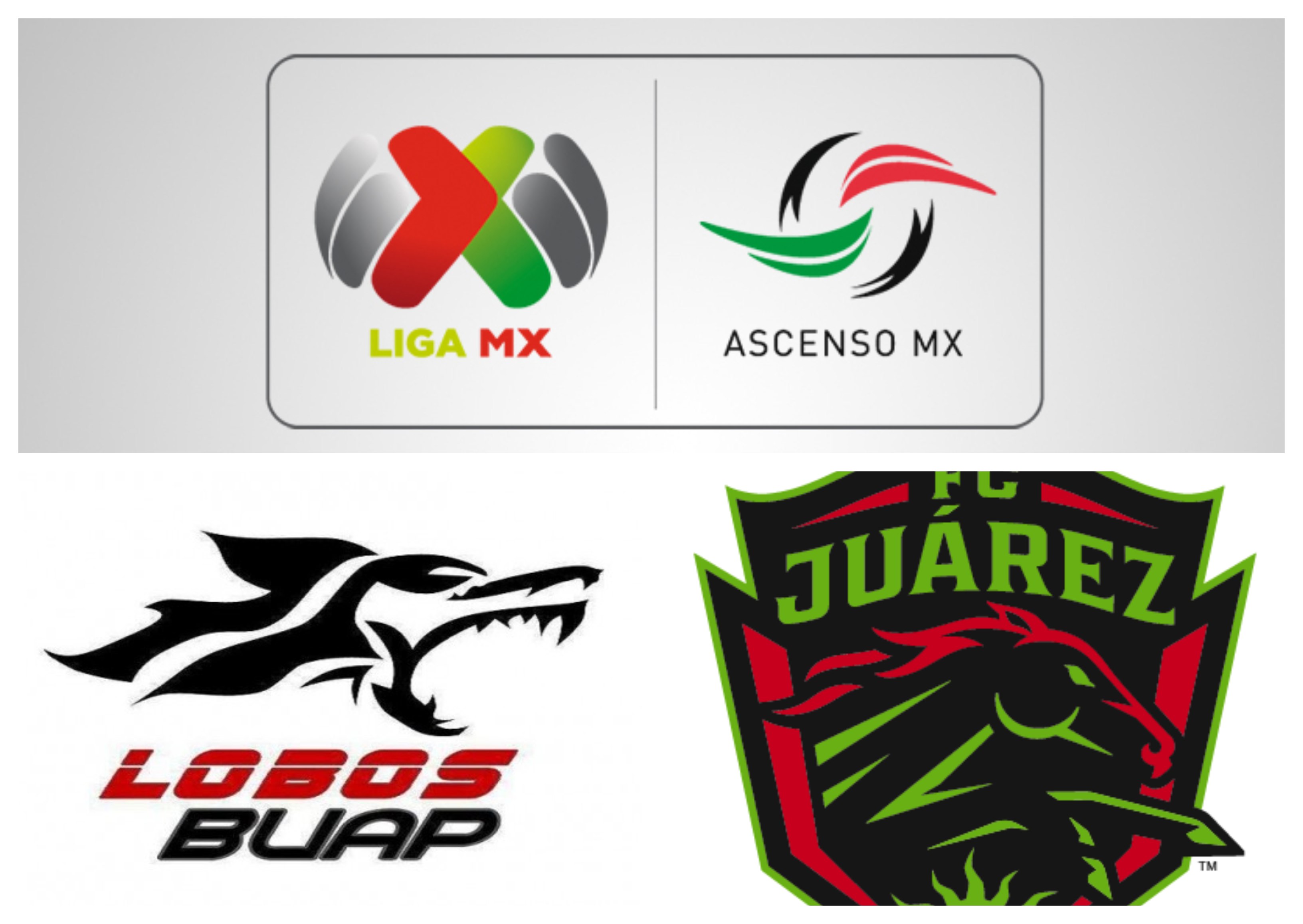 Regresa el futbol de primera división a Chihuahua; FC Juárez participará en Liga MX
