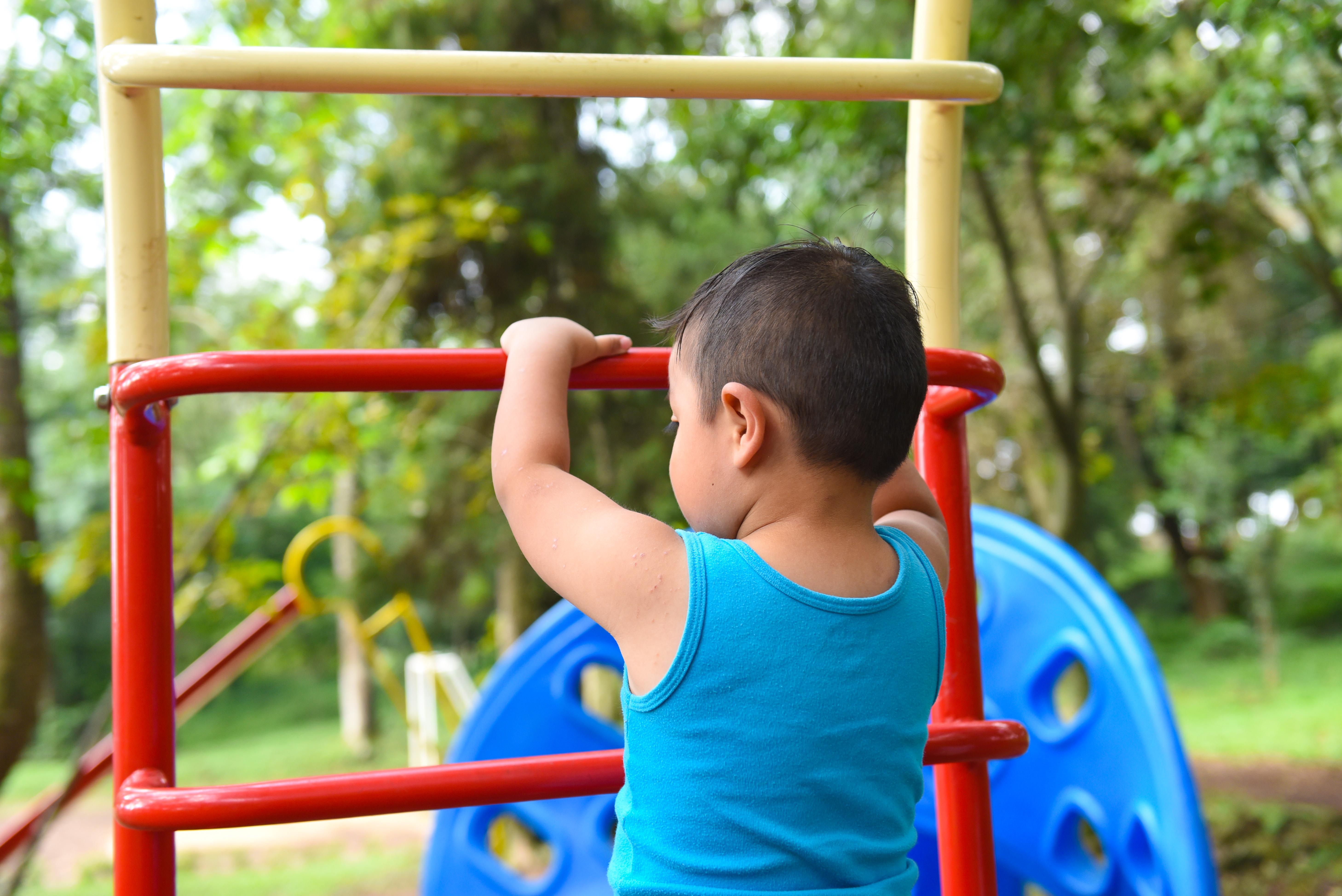 En todo momento se busca garantizar derechos de niñas, niños y adolescentes: Sipinna Xalapa