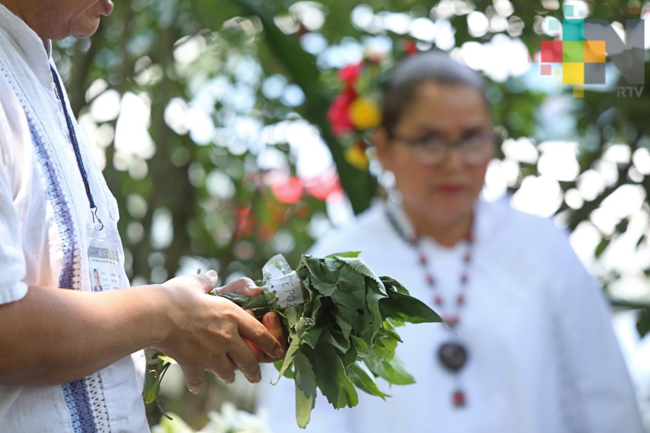 Secretaría de Salud promueve y preserva la medicina tradicional indígena