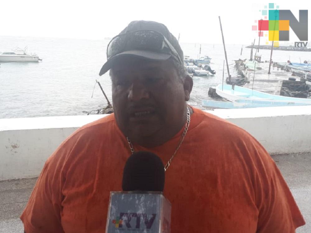 Crisis de sargazo que vive Quintano Roo y Cancún se podría replicar en Veracruz