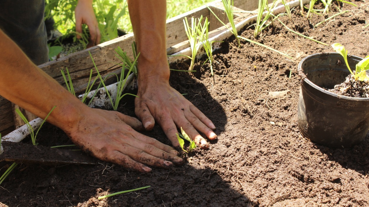 Reúne GACX a ambientalistas en Conversatorio