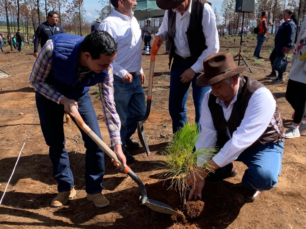 Impulsa Radiotelevisión de Veracruz reforestación en reserva ecológica de Las Vigas